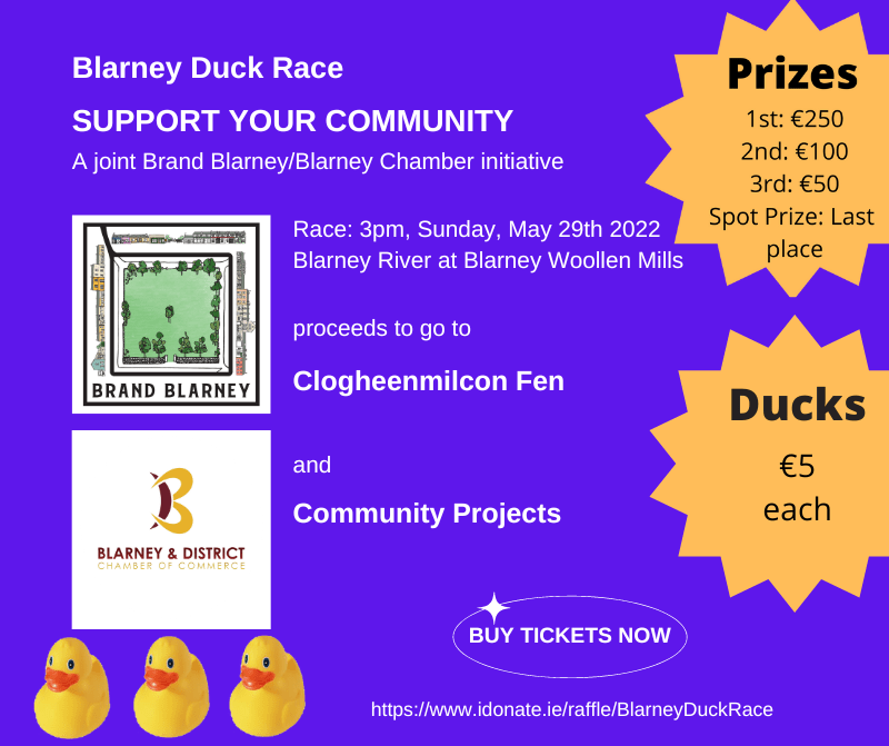 Blarney duck race