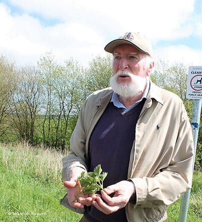 Foraging at the Fen with Tom O'Byrne