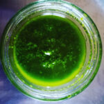 wild garlic pesto